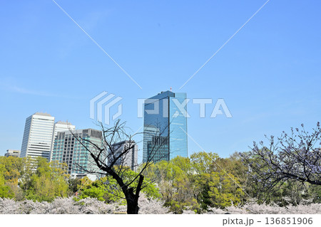 大川の木立越しの大阪ビジネスパーク 大川の木立越しの大阪ビジネスパーク 136851906