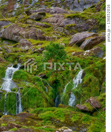 Moss-covered rocks and a gentle, flowing stream. 136852016