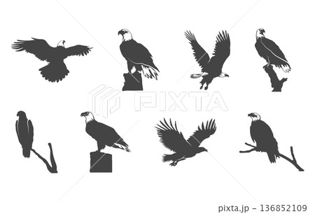 Set of bald eagle svg, American bald eagle silhouette, Bald eagle silhouette, Flying eagle svg, Eagle svg, Bald eagle vector set. 136852109