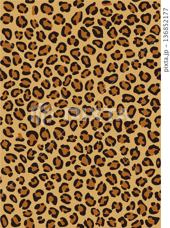 ヒョウ柄_02 136852177