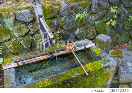 京都市 苔むした手水鉢 京都市 苔むした手水鉢 136852526