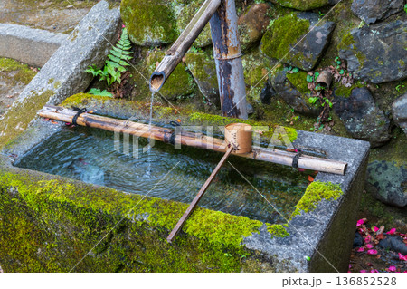 京都市 苔むした手水鉢 京都市 苔むした手水鉢 136852528