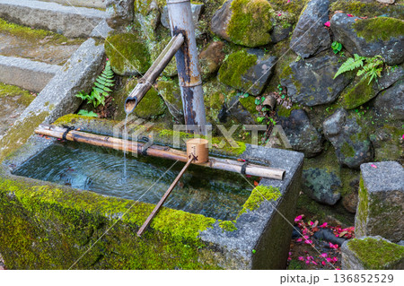 京都市 苔むした手水鉢 京都市 苔むした手水鉢 136852529