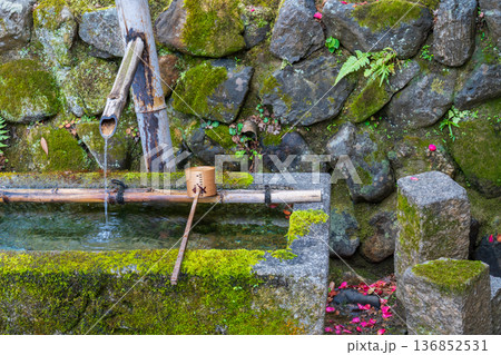 京都市 苔むした手水鉢 京都市 苔むした手水鉢 136852531