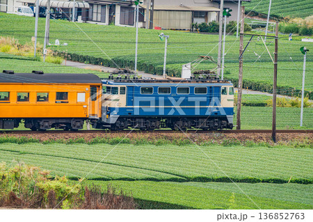 島田市の大井川鐡道の抜里駅周辺の風景(静岡県) 島田市の大井川鐡道の抜里駅周辺の風景(静岡県) 136852763