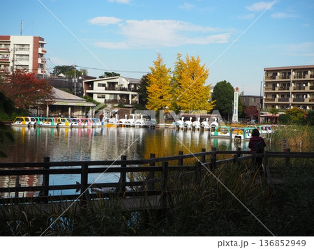 石神井公園 136852949