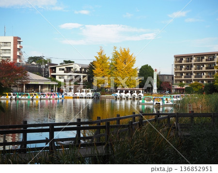 石神井公園 石神井公園 136852951