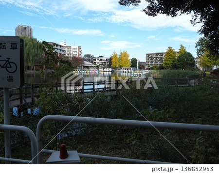 石神井公園 136852953