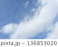 青空と雲を飛ぶ鳥　余白のあるミニマルな空 136853020
