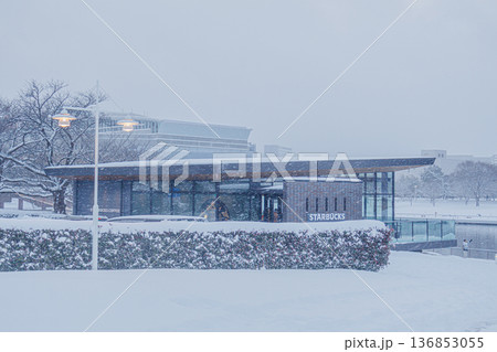 大雪で塗り替えられた環水公園の美しい雪景色 大雪で塗り替えられた環水公園の美しい雪景色 136853055