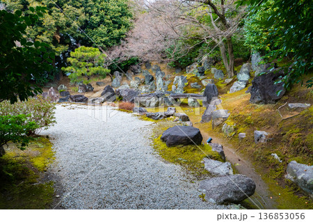 京都市東山区　圓徳院の枯山水の庭園 136853056
