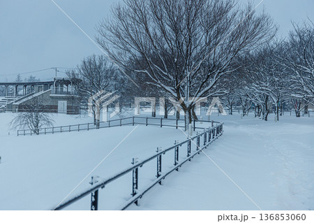 大雪で塗り替えられた環水公園の美しい雪景色 136853060