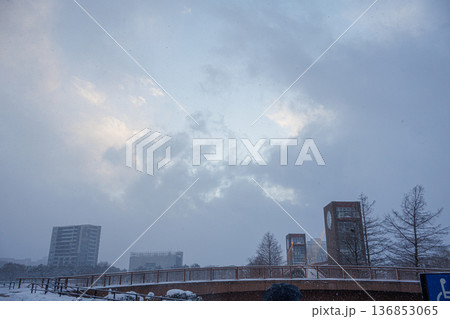 大雪で塗り替えられた環水公園の美しい雪景色 136853065