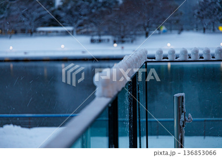 大雪で塗り替えられた環水公園の美しい雪景色 大雪で塗り替えられた環水公園の美しい雪景色 136853066