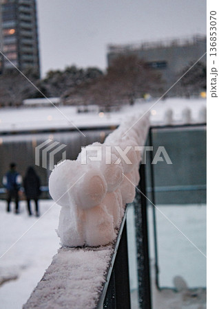 大雪で塗り替えられた環水公園の美しい雪景色 大雪で塗り替えられた環水公園の美しい雪景色 136853070