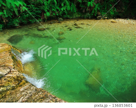 夏の愛知県新城市 深緑に囲まれ清流の乳岩川 夏の愛知県新城市 深緑に囲まれ清流の乳岩川 136853601
