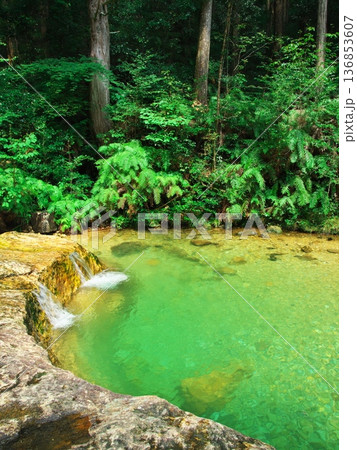 夏の愛知県新城市　深緑に囲まれ清流の乳岩川 136853607