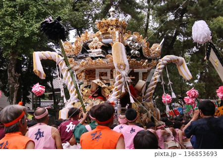 祭りの神輿が練り歩く 136853693