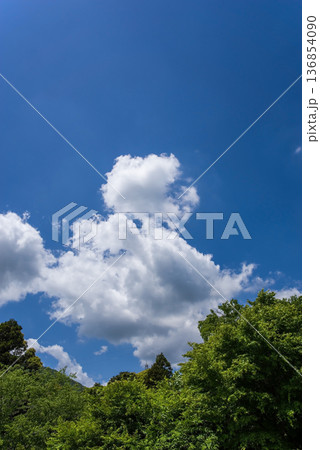青空に浮かぶ雲と新緑の木々 136854090