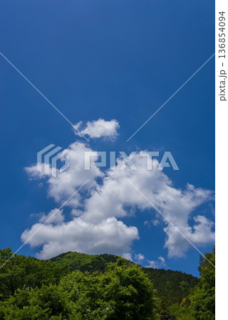 青空に浮かぶ雲と新緑の木々 136854094