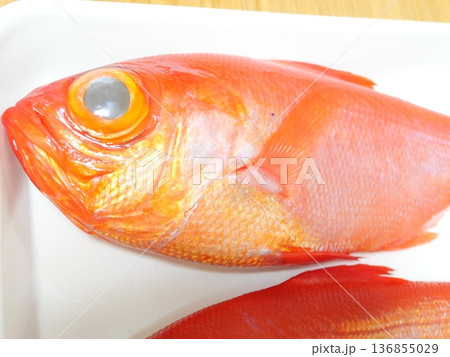 釣りたてのキンメダイ 釣りたてのキンメダイ 136855029