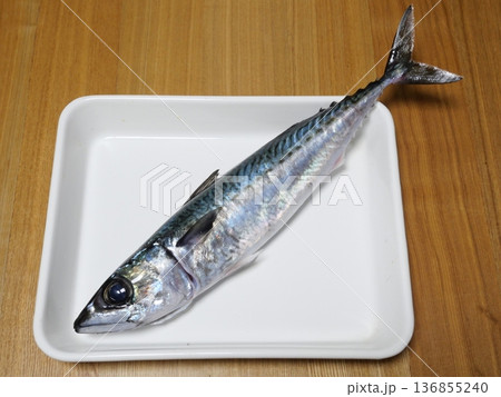 釣りたてのゴマサバ 釣りたてのゴマサバ 136855240