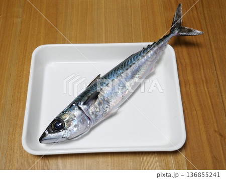 釣りたてのゴマサバ 釣りたてのゴマサバ 136855241