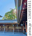 立春　神社と陽光 136855831
