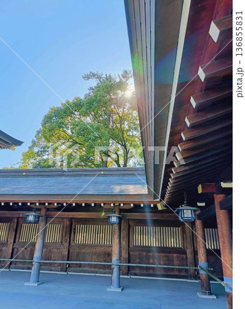 立春　神社と陽光 136855831