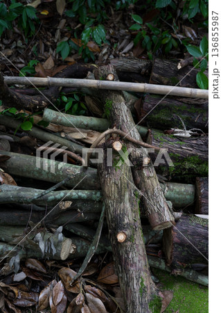 Cut tree branches firewood close-up 136855987