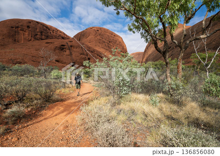 Hiker walking red dirt trail toward massive domes of Kata Tjuta, Australia 136856080