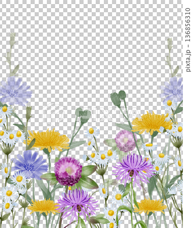 Wildflower floral banner watercolor illustration Wildflower floral banner watercolor illustration 136856310