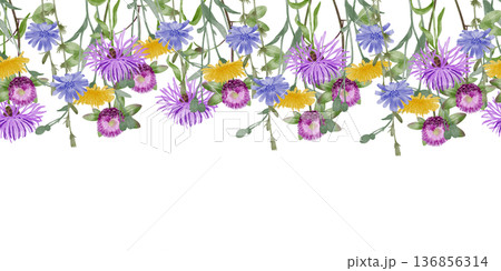 Seamless Wildflower Border Watercolor 136856314