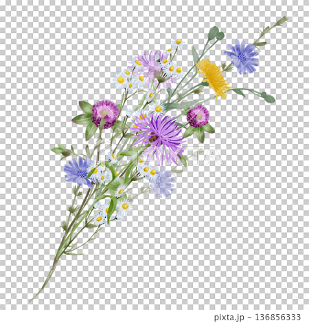 Wildflower branch watercolor illustration 136856333