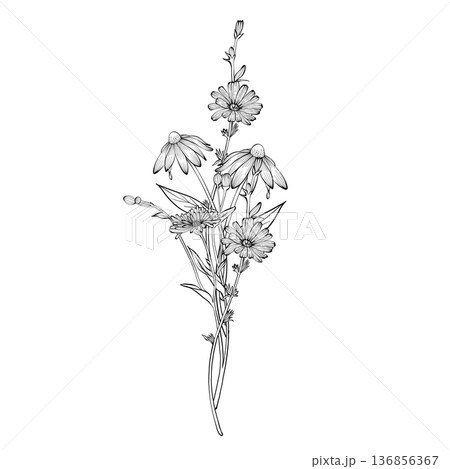 Wildflower bouquet vector illustration Wildflower bouquet vector illustration 136856367