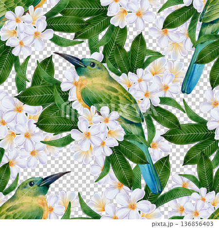 Tropical Plumeria Bird Seamless Pattern 136856403