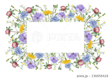 Wild meadow flower frame design Wild meadow flower frame design 136856428