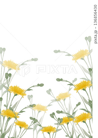 Wild yellow meadow flowers postcard illustration Wild yellow meadow flowers postcard illustration 136856430