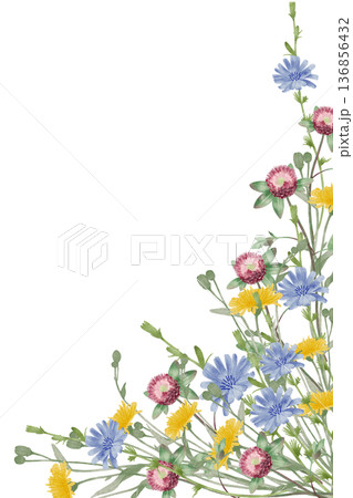 Wildflowers Watercolor Postcard Wildflowers Watercolor Postcard 136856432