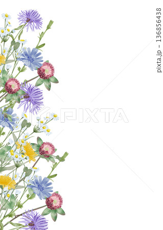 Wildflowers Vertical Watercolor Border Wildflowers Vertical Watercolor Border 136856438