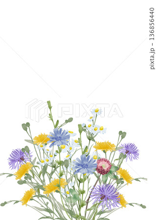 Wildflowers Watercolor Postcard Composition 136856440