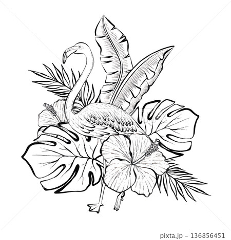 Tropical Flamingo Botanical Vector Illustration 136856451