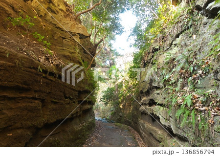 国指定史跡「朝夷奈切通」の垂直な岩壁 鎌倉時代から続く苔むした歴史的な古道と断崖の風景 136856794
