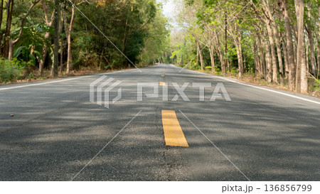 Direct of asphalt road with yellow line. Road that stretches forward. Two side of road with rubber trees forest. Direct of asphalt road with yellow line. Road that stretches forward. Two side of road with rubber trees forest. 136856799