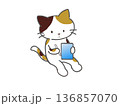 スマホとペンを持ちながら勉強している三毛猫 スマホとペンを持ちながら勉強している三毛猫 136857070