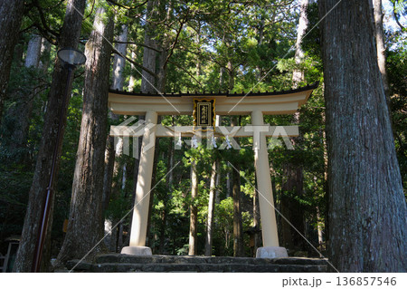 那智の滝 那智の滝 136857546