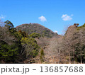早春の晴天の日の甲山 136857688