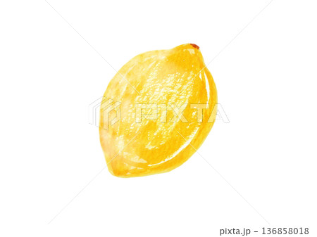 レモン 136858018