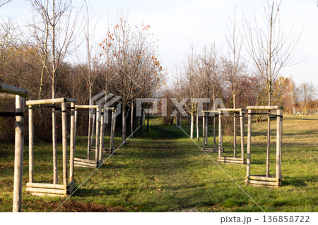 Walking path lined with wooden frames and trees in a peaceful landscape 136858722