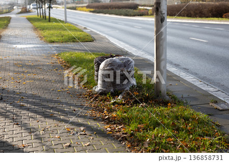 Leaves and debris collected in bags on a quiet street in autumn Leaves and debris collected in bags on a quiet street in autumn 136858731